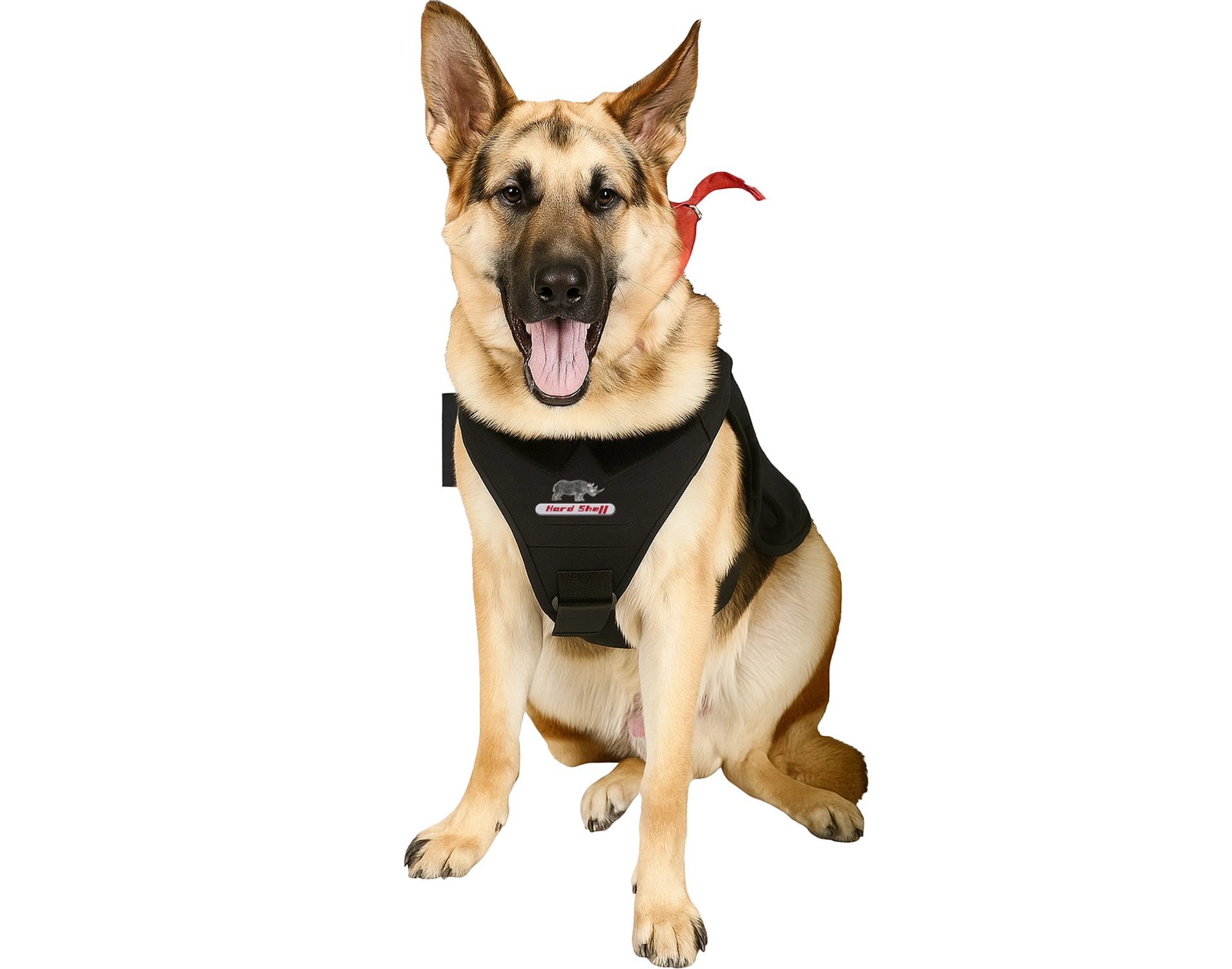 K9 BALLISTIC VEST
